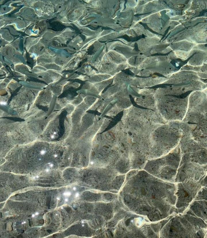 Vacanze A Solanas Con Clima Cup1863 Εξωτερικό φωτογραφία